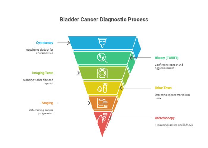 Diagnosis of Bladder Cancer